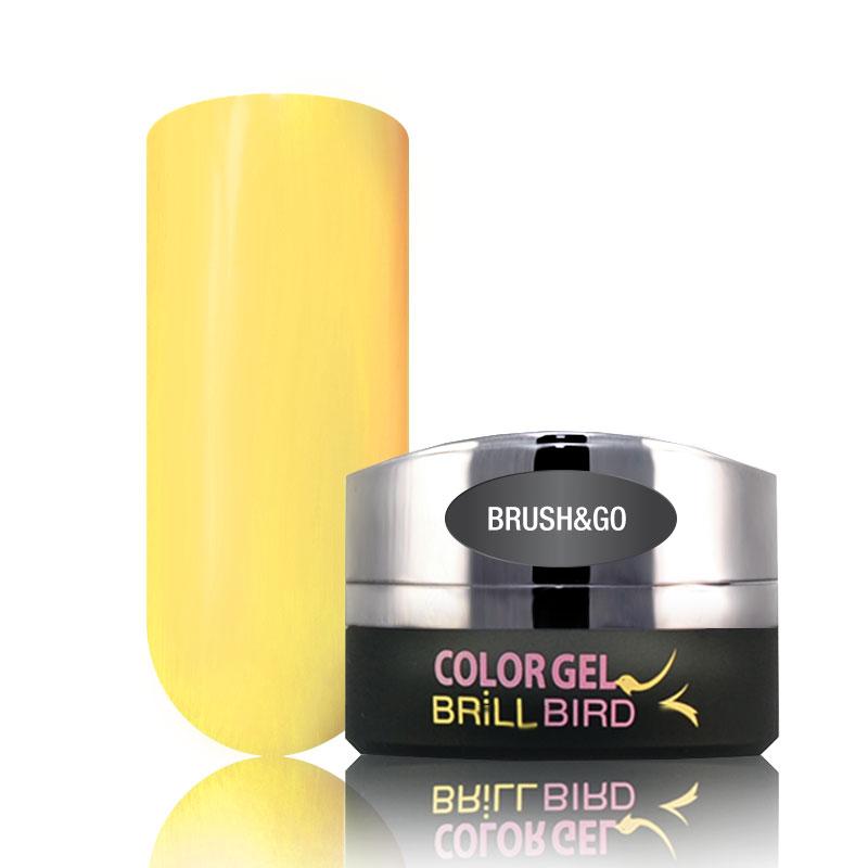 BG-Color-Gel-039.jpg